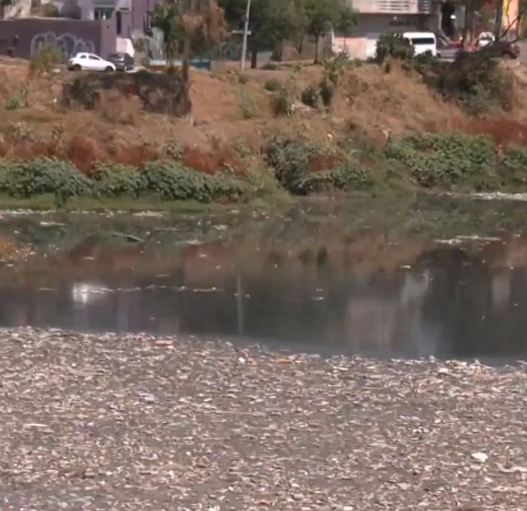 La presa Mixcoac está llena de basura y genera malos olores