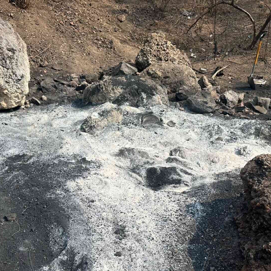 Los 14 elementos óseos encontrados en el lugar son de origen animal, en particular, se halló que los restos pertenecen a perros