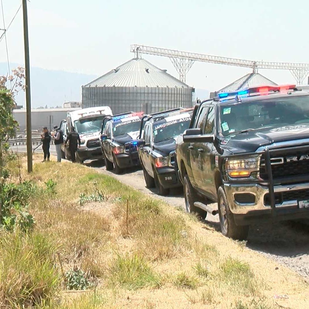 Encuentran los Restos de una Mujer en Medio de un Terreno Despoblado en Zapopan