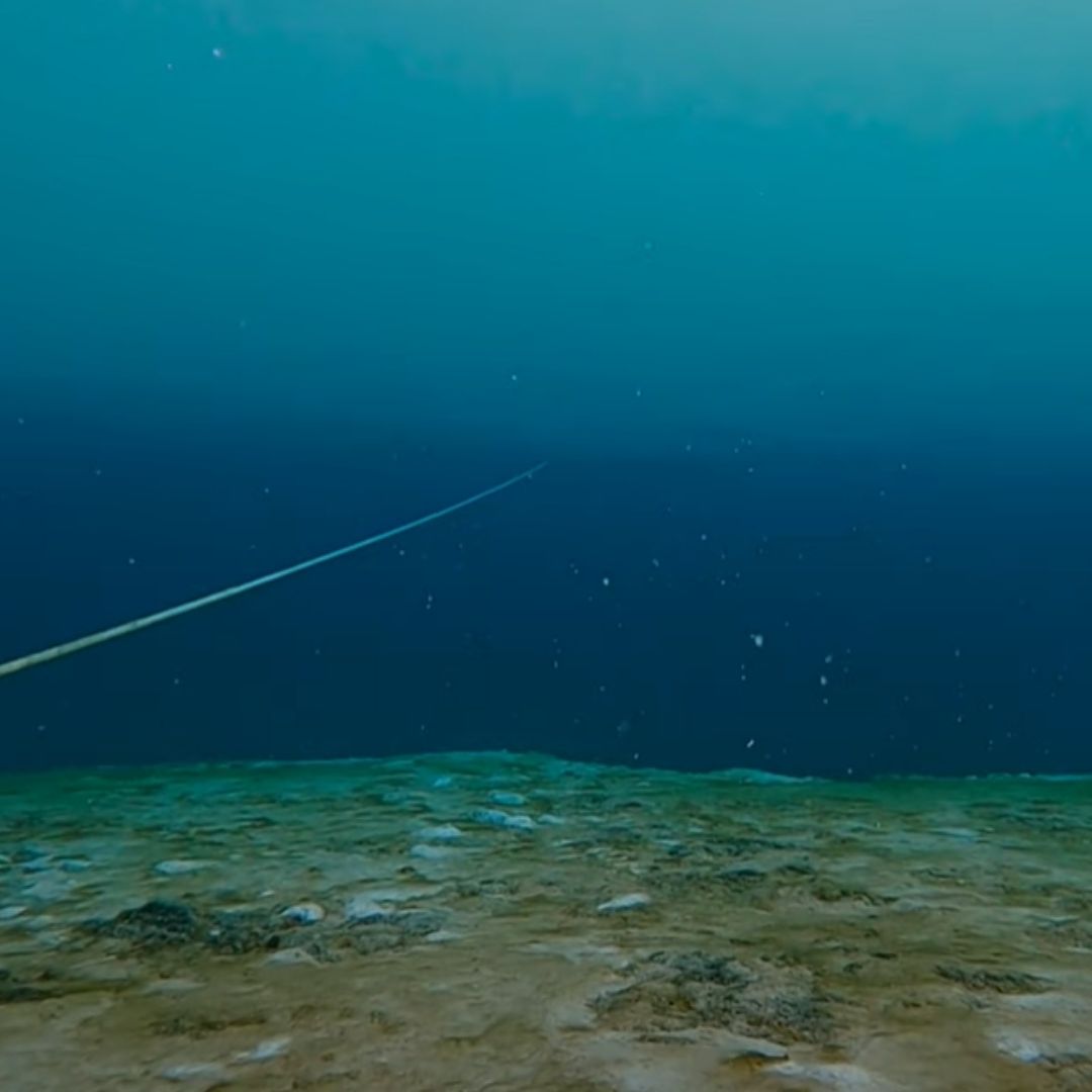 Taam ja Blue Hole Vista por Dentro Agujero Azul Chetumal Más Profundo del Mundo