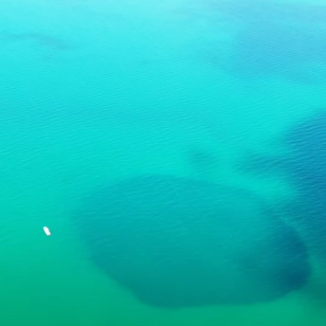Agujero Azul de Taam Ja', En Chetumal, es el Más Profundo el Mundo