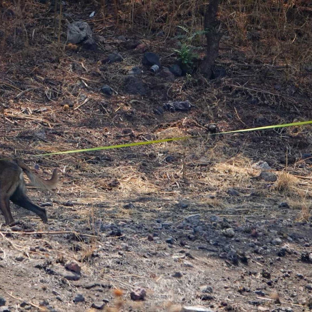 López Obrador y Martí Batres acusaron de montaje y de traficar con el dolor humano por el supuesto crematorio clandestino