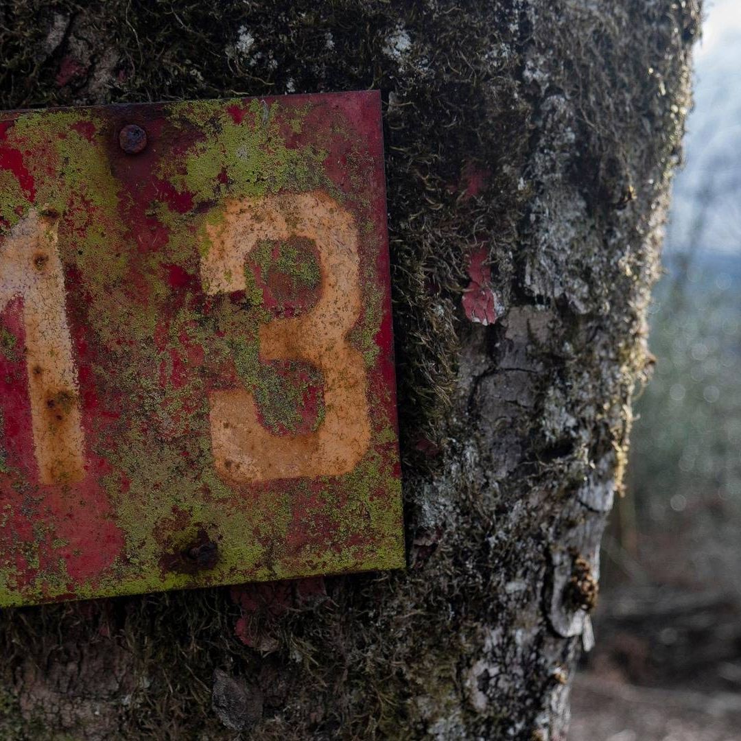 La creencia de que el martes 13 es de mala suerte ha perdurado a lo largo de los siglos. Aquí te explicamos el origen de esta superstición
