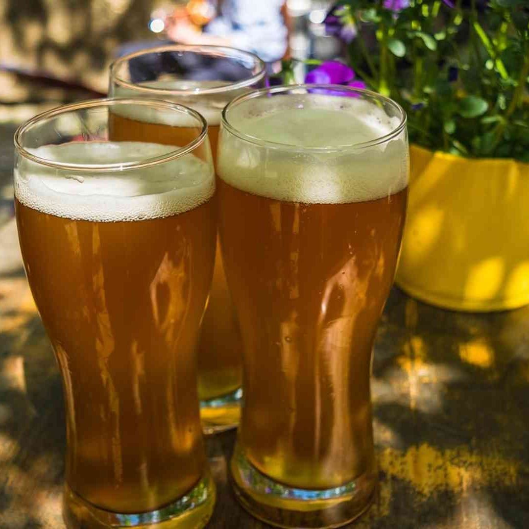 ¿La Cerveza Quita la Sed Cuando Sientes Mucho Calor?