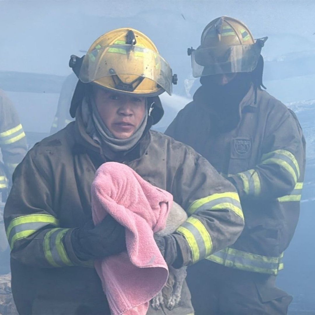 Bomberos Rescatan Perritos Atrapados en Incendio de la Colonia Libertad en Ciudad Juárez