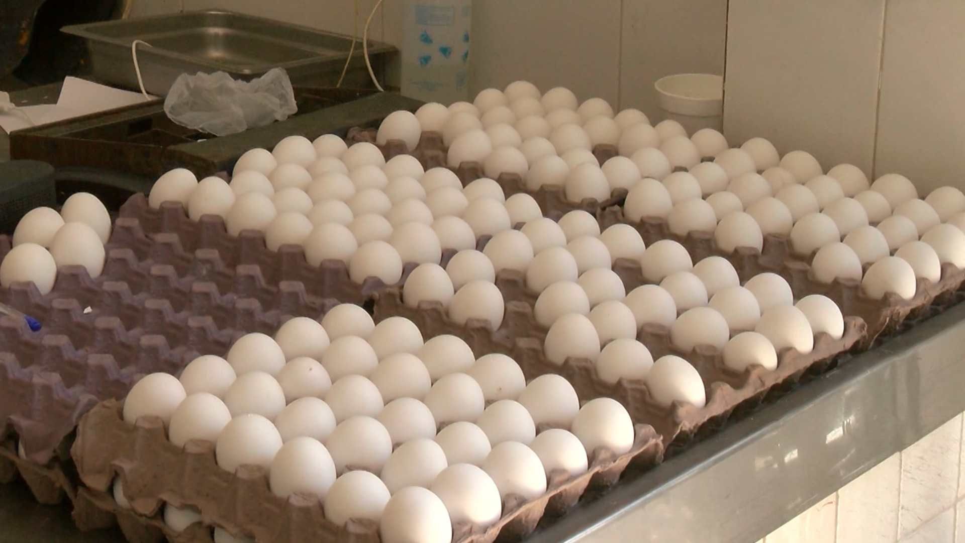 Vuela el Precio por los Aires; El Huevo Alcanzó los 100 Pesos el Kilo
