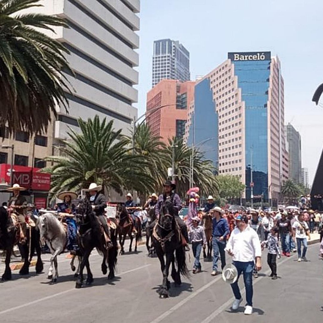 Marcha de Criadores de Animales Colapsa Centro de la CDMX