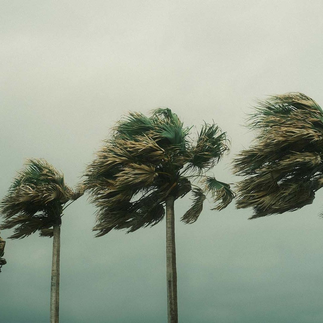 ¿Cuántos Ciclones Afectarán a Tamaulipas Durante Temporada de Huracanes 2024?