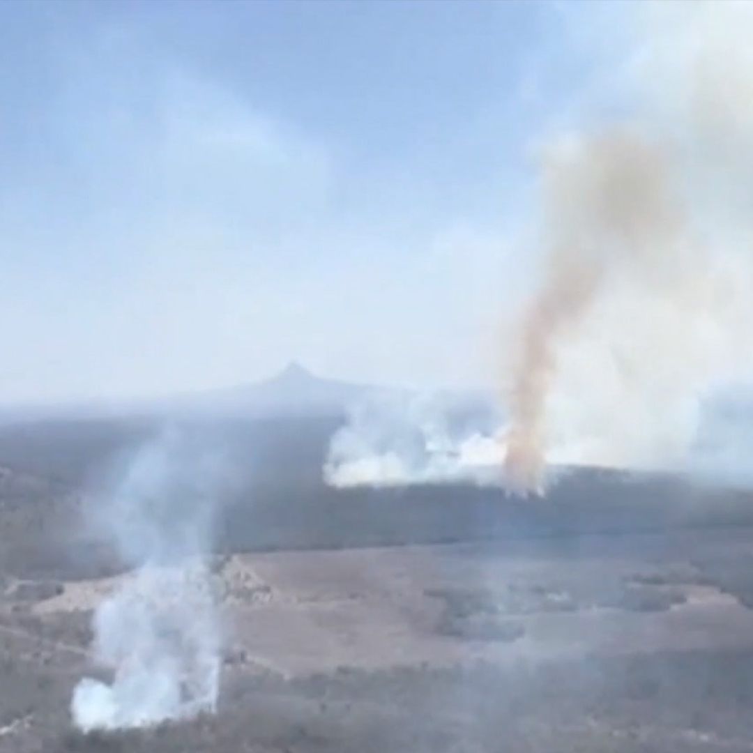 Incendio Activo en 'El Cielo', Tamaulipas: Reportan Más de 70 Hectáreas Afectadas