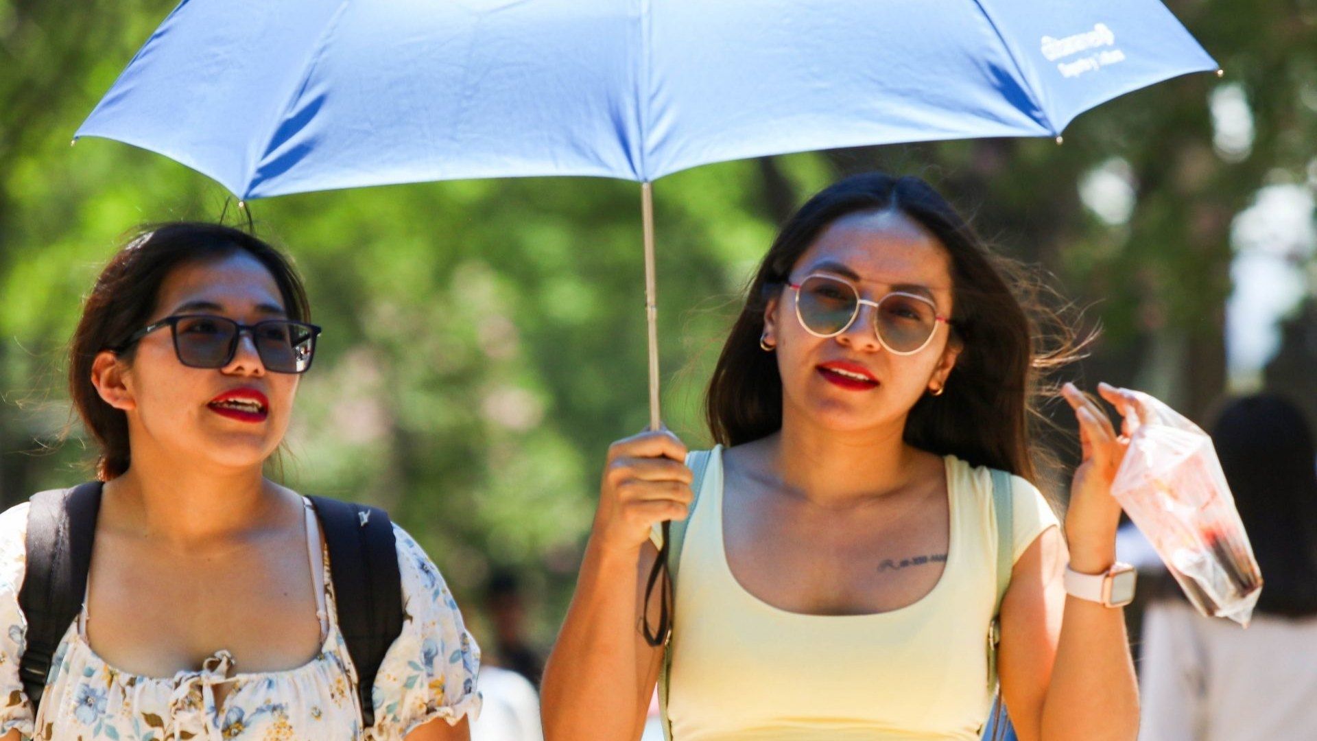 Habrá calor y lluvias este 19 de mayo de 2025,