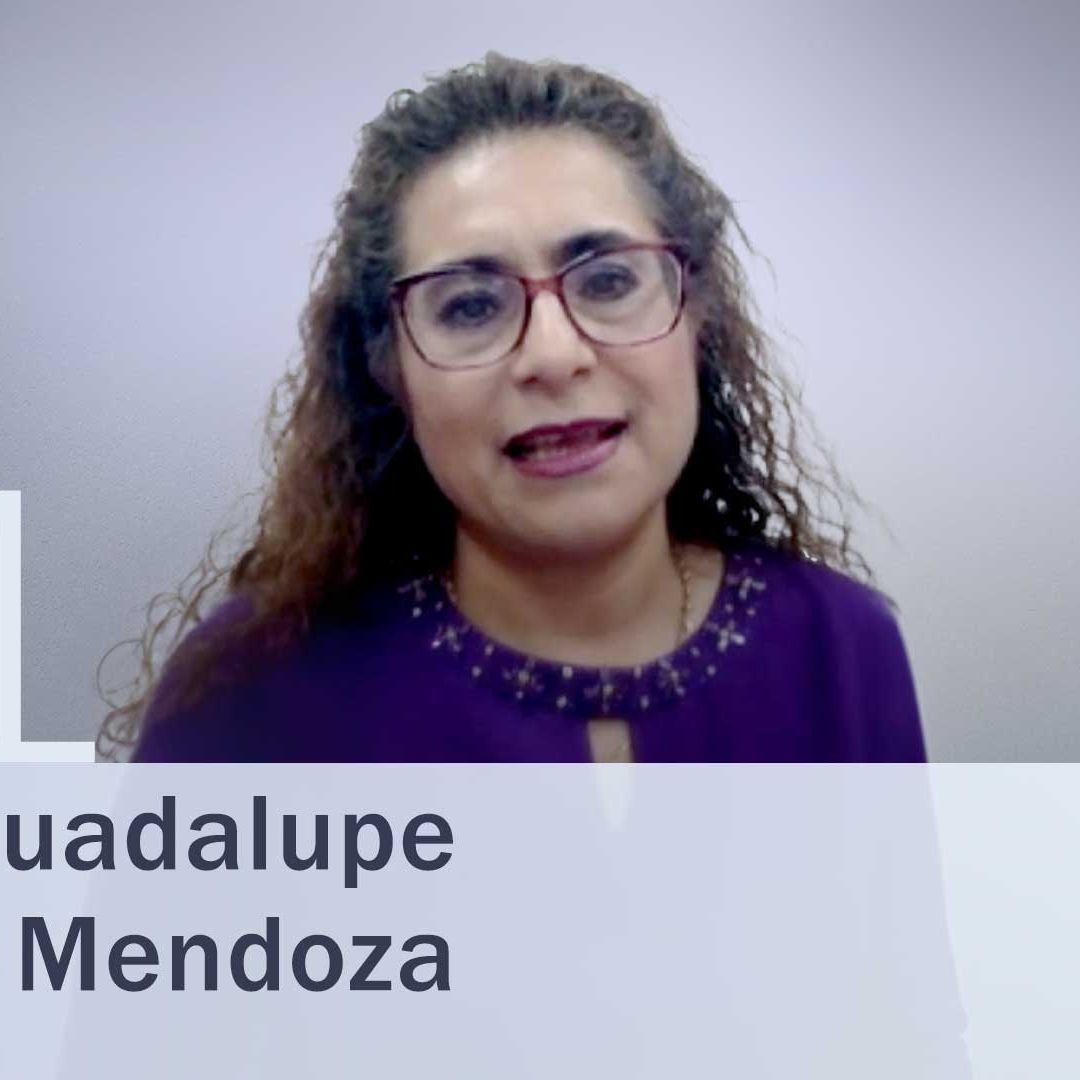 ¿Quién es Irma Guadalupe García Mendoza? Candidata 11 a Ministra de la Suprema Corte