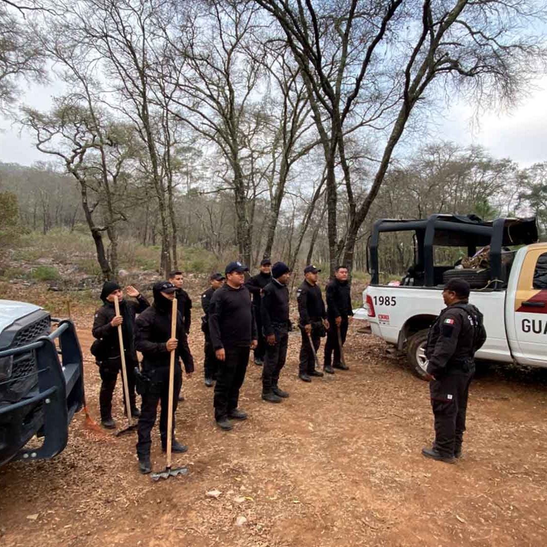 Activan Plan Tamaulipas 2025 por Incendio Forestal que Afecta Biósfera El Cielo