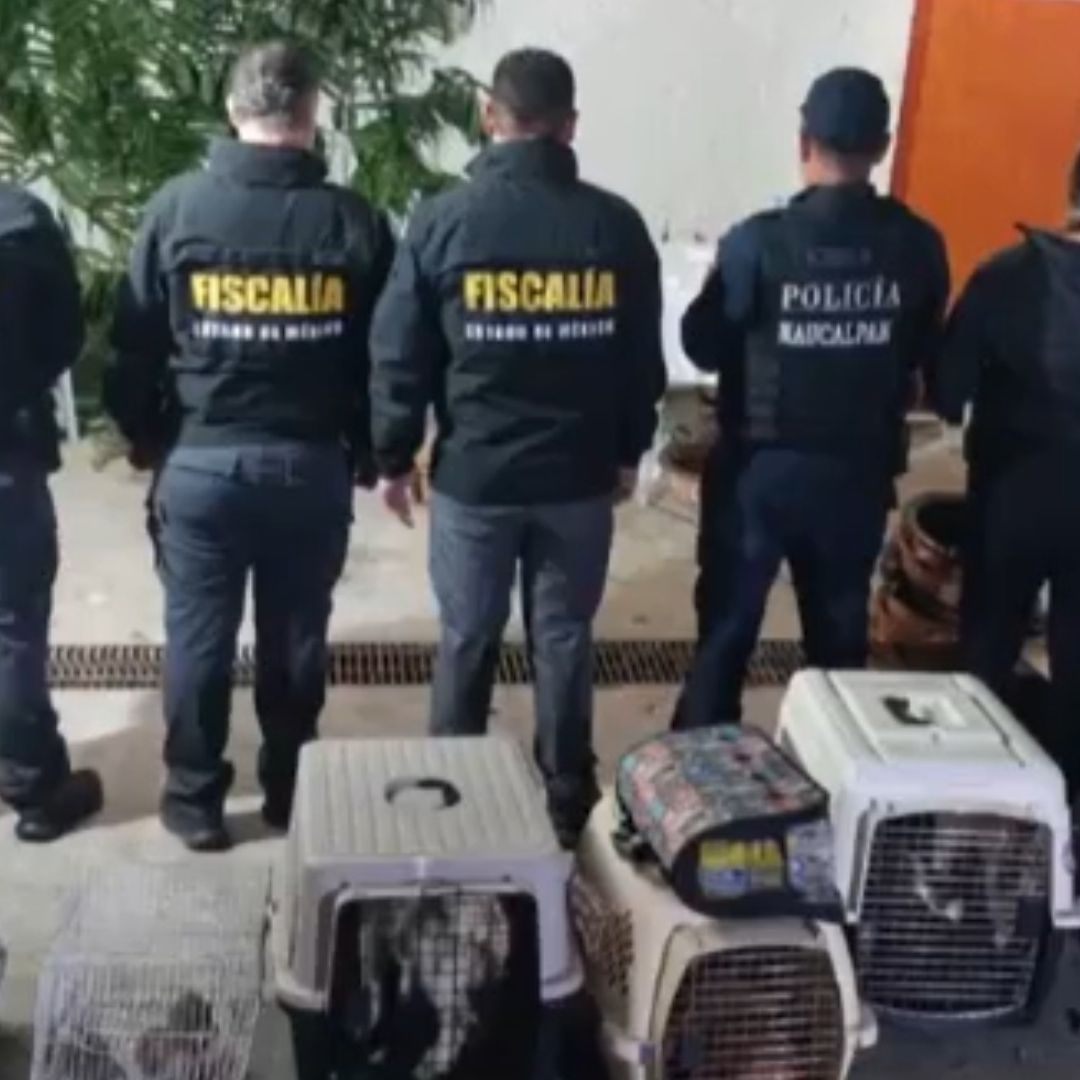 Rescatan a 27 Animales en Casa de Naucalpan