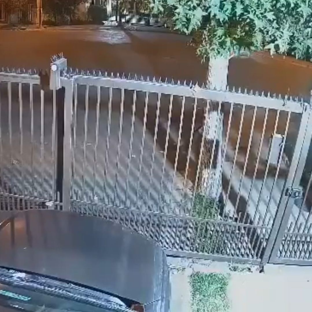 La mujer no encontró nada de valor y huyó semidesnuda.