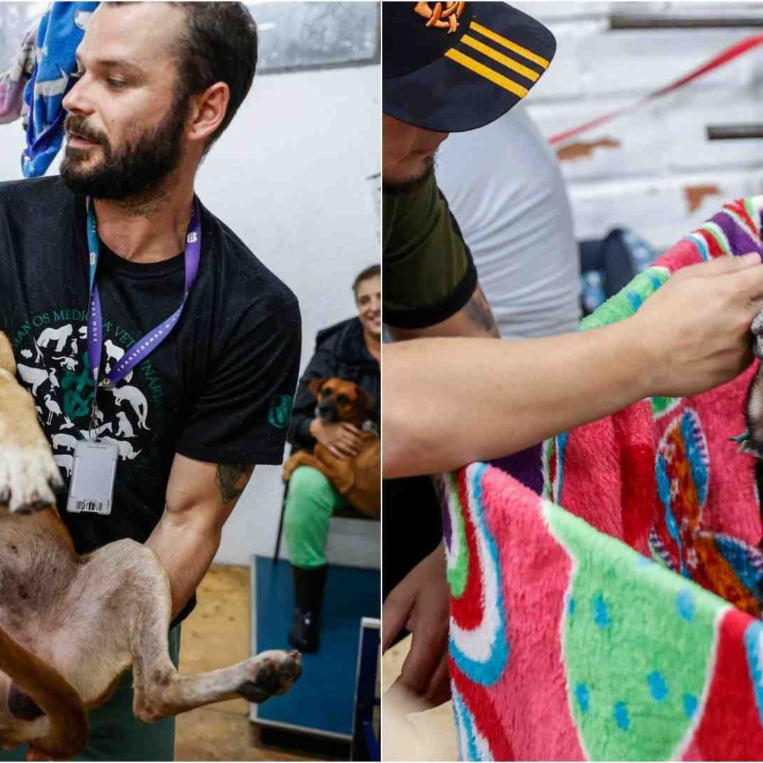 Socorristas rescatan animales atrapados en aguas tras inundaciones en Brasil