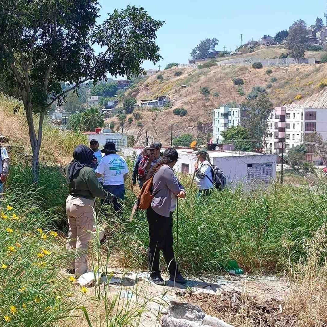 Colectivos Encuentra Fosa Clandestina con 5 Cuerpos y Dos Cráneos en Tijuana