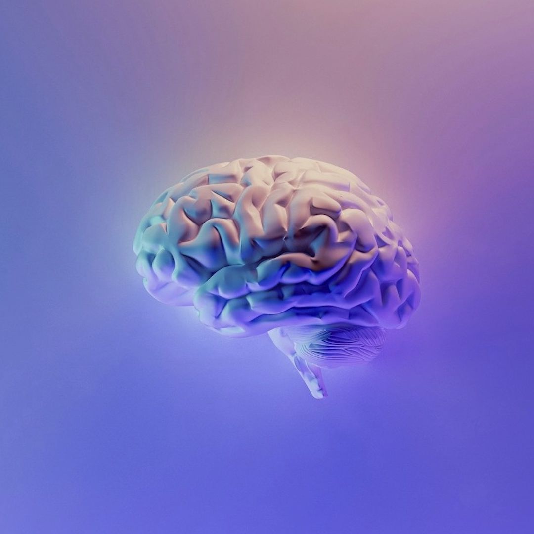 La consciencia nacería de los microtúbulos del cerebro