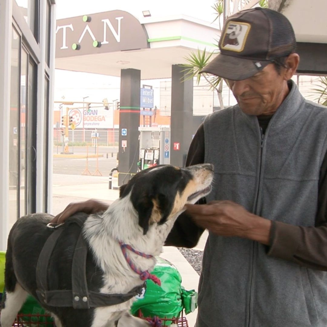 Llevó a su Perrita de Atlixco a Puebla Caminando para Salvarla. Foto: Franco Arteaga | N+