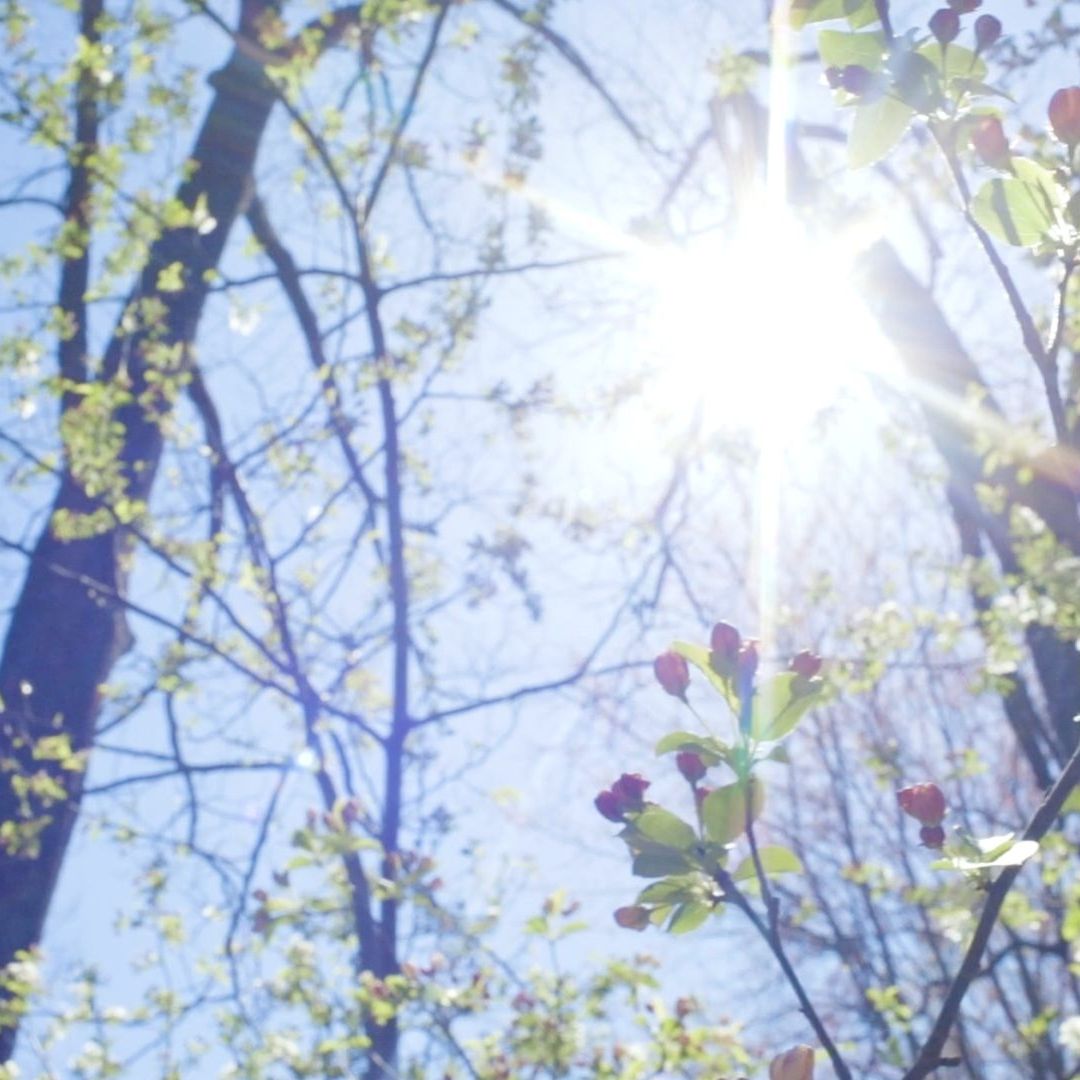 Clima en Mexicali: De Nuevo Calor y Vientos Moderados Para Este Fin de Semana