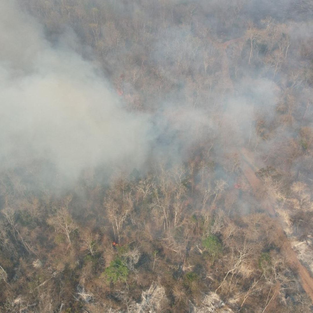 5 Incendios Forestales Arrasan con Más de 4,500 Hectáreas de Selvas y Pastizales en Campeche