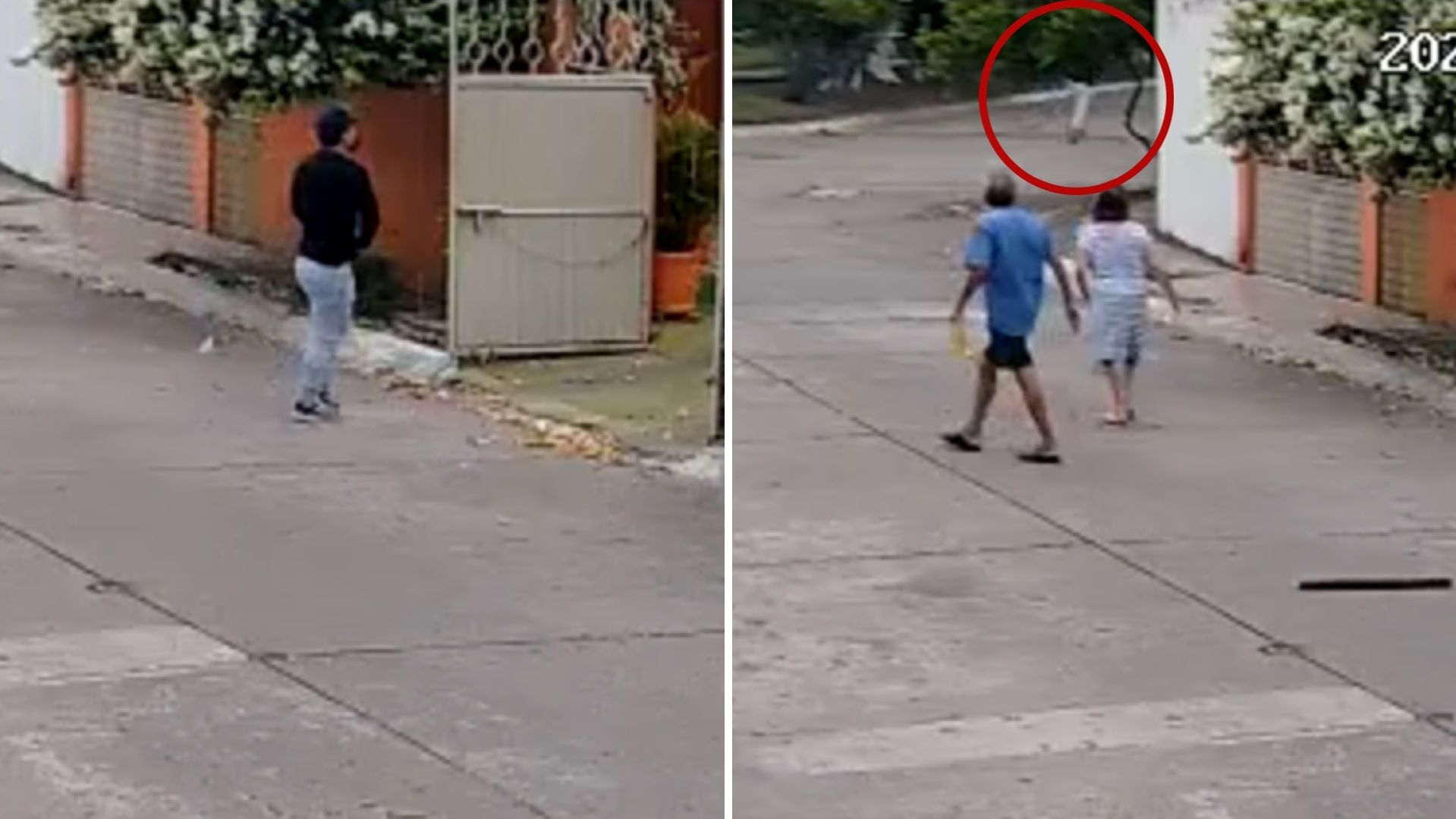 VIDEO: Abuelitos Golpean a Ladrones y Frustran Asalto en Tabasco; Así Defendieron su Casa
