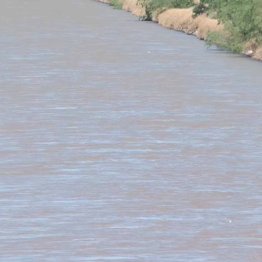 Hallan Cuerpo de Hombre Ahogado en Canal de Sacramento en Gómez Palacio