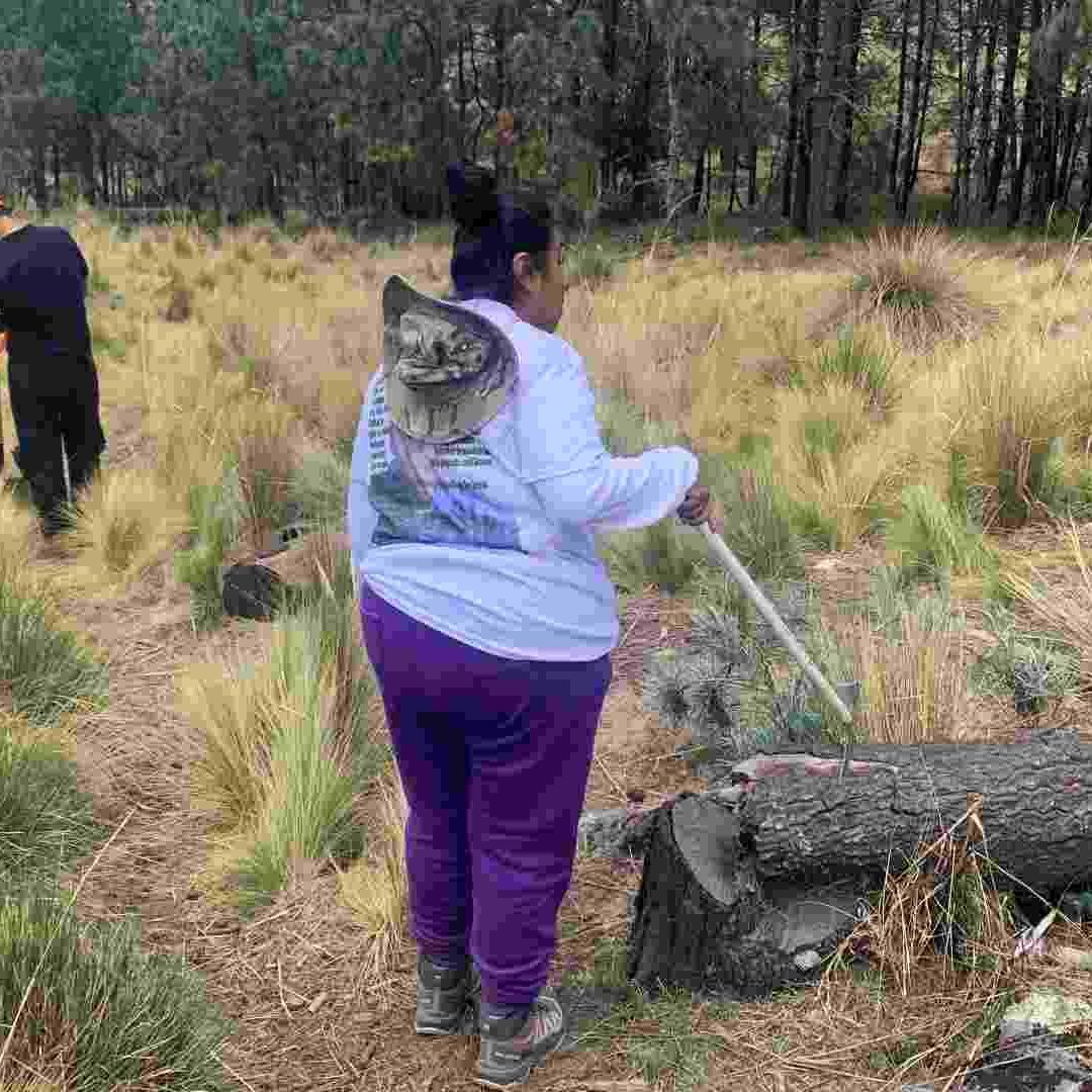 Búsqueda en el Ajusco del joven desaparecido, Ricardo Rico,