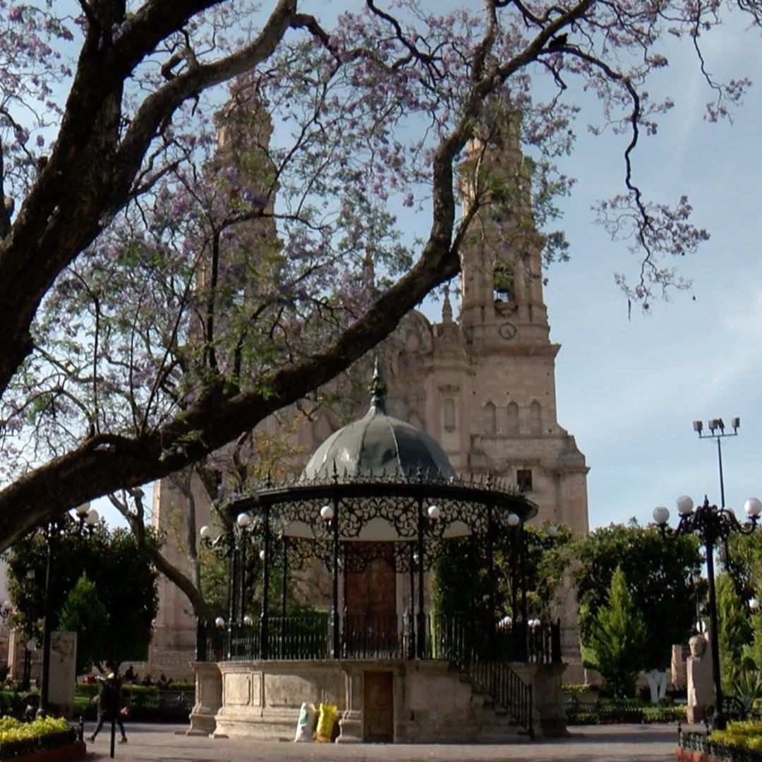 Investigan nueva desaparición masiva en Lagos de Moreno