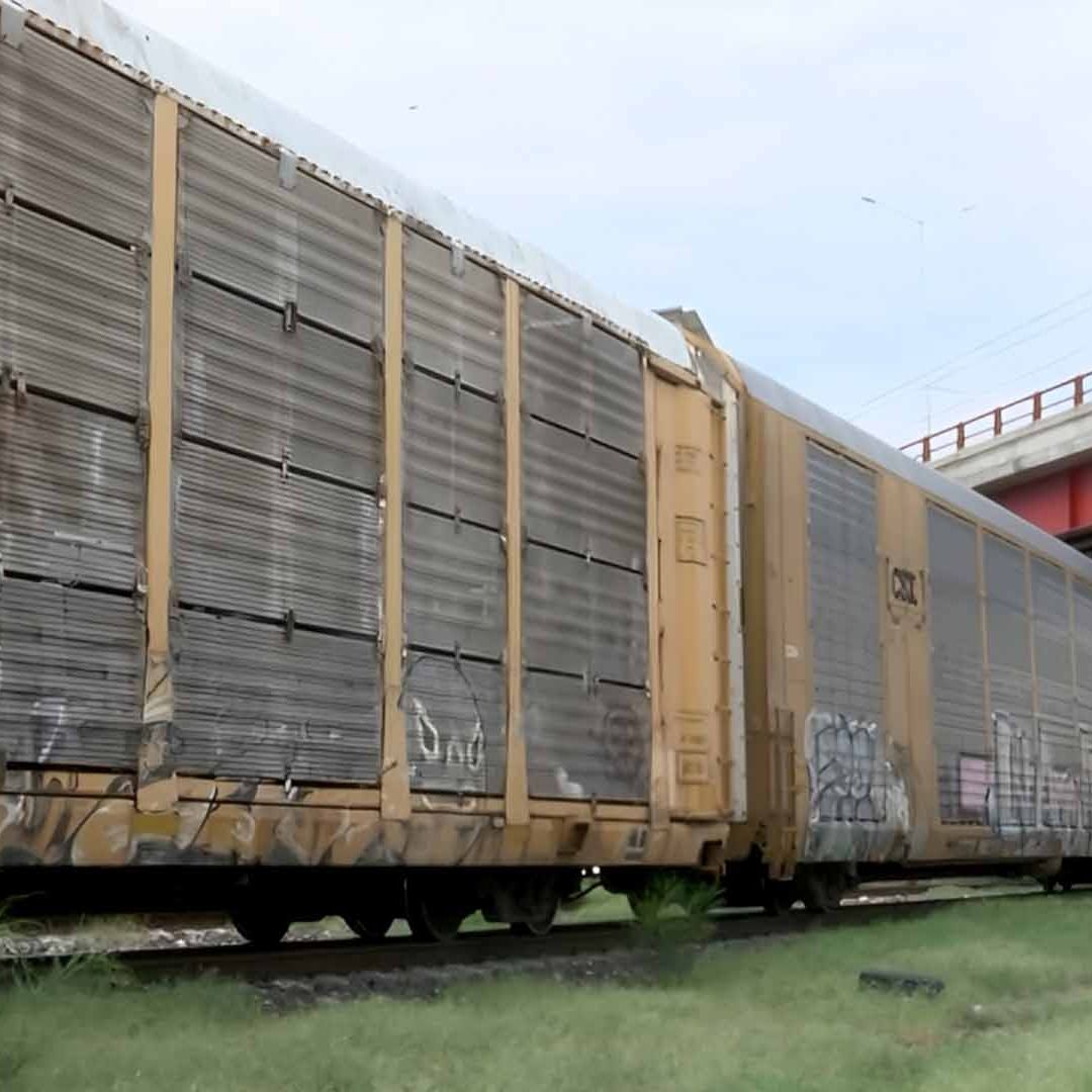 Muere Hombre Atropellado por el Tren en Piedras Negras
