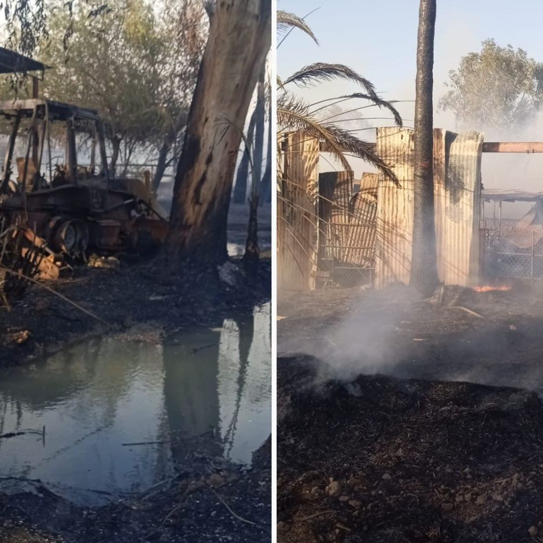 Mueren 100 Borregos en Incendio de Rancho en Ejido El Choropo de Mexicali