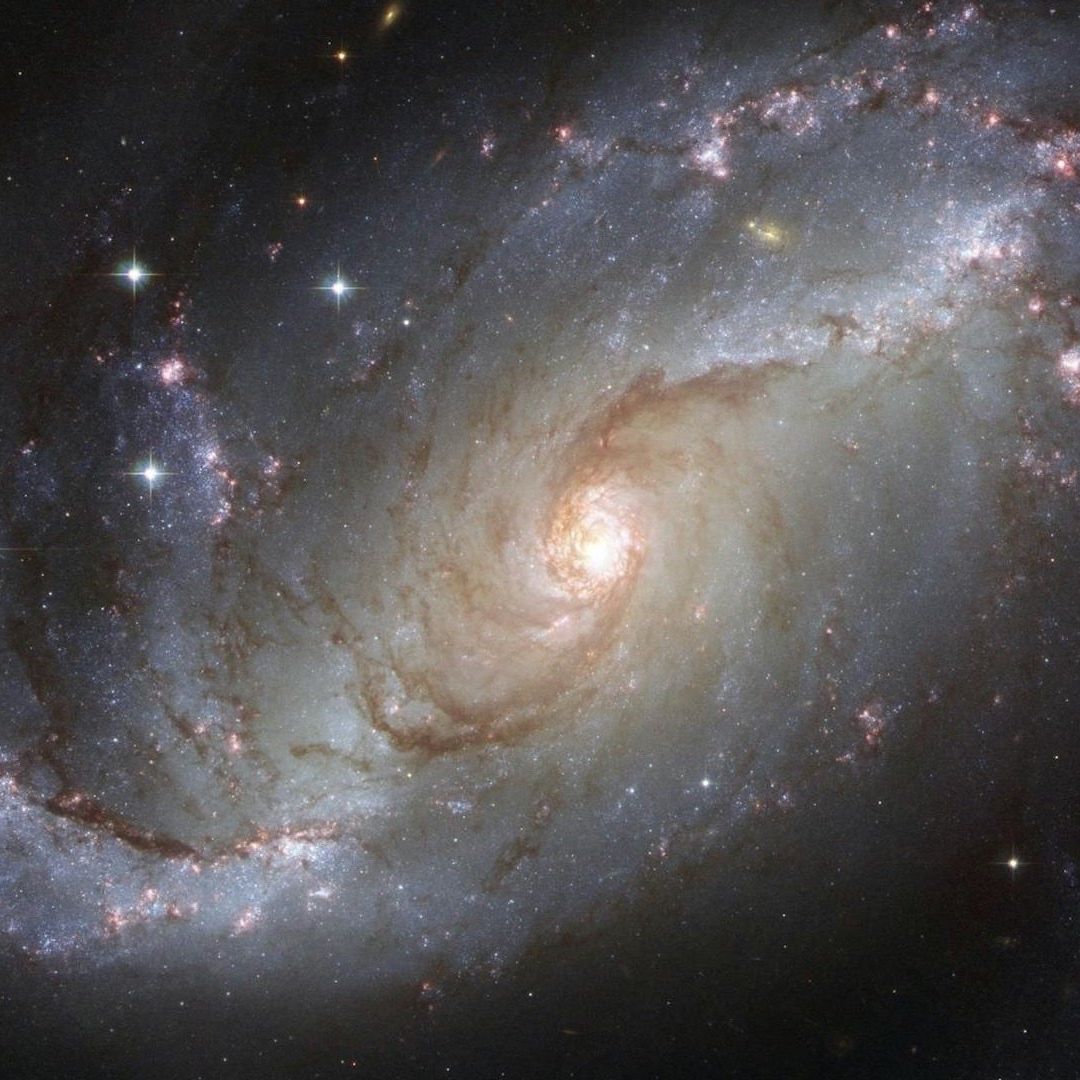 El universo estaría divido en secciones semejantes a células