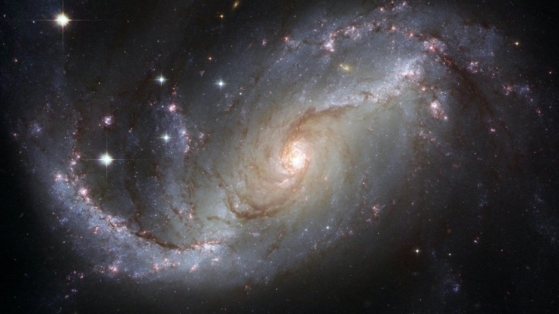 El universo estaría divido en secciones semejantes a células