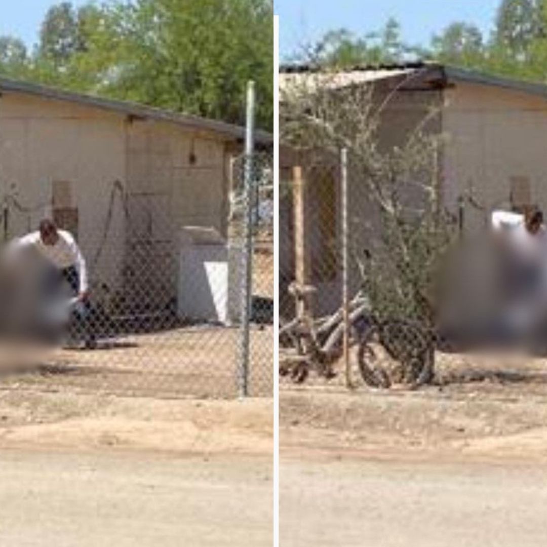 Vecino Mata Perro a “Palazos” Frente a su Dueño, Un Niño de 8 Años en Mexicali