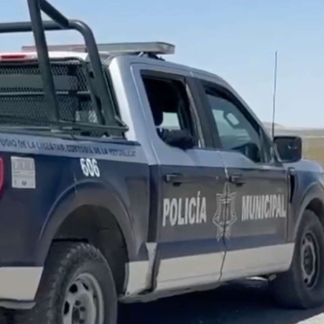 Perro Sorprende a sus Dueños al Llegar con Cráneo Humano en el Hocico
