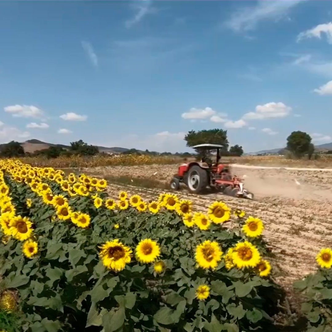 Agricultores en México enfrentan riesgos por altas temperaturas y largas jornadas
