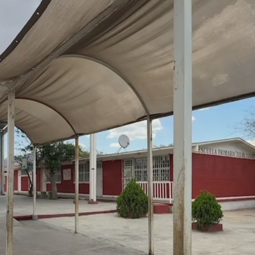 Alerta en Coahuila por Invasión de Chinches y Garrapatas en una Escuela Primaria