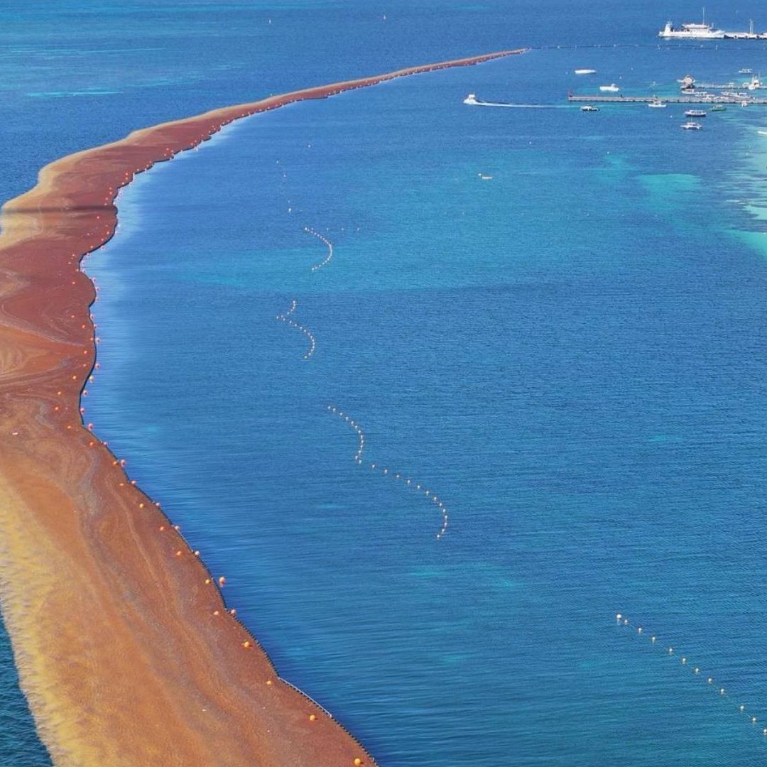 Contención de sargazo en el Caribe de México