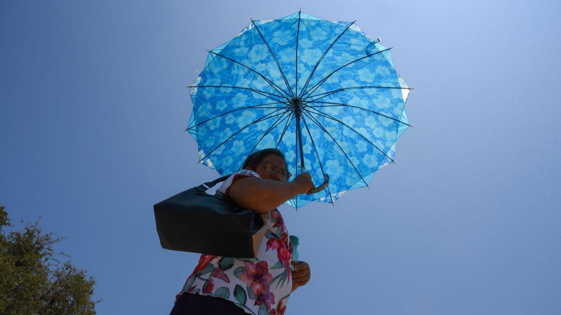 Pronóstico del Tiempo Hoy JUEVES 5 de Junio de 2025: Así Estará el Clima en Tu Estado