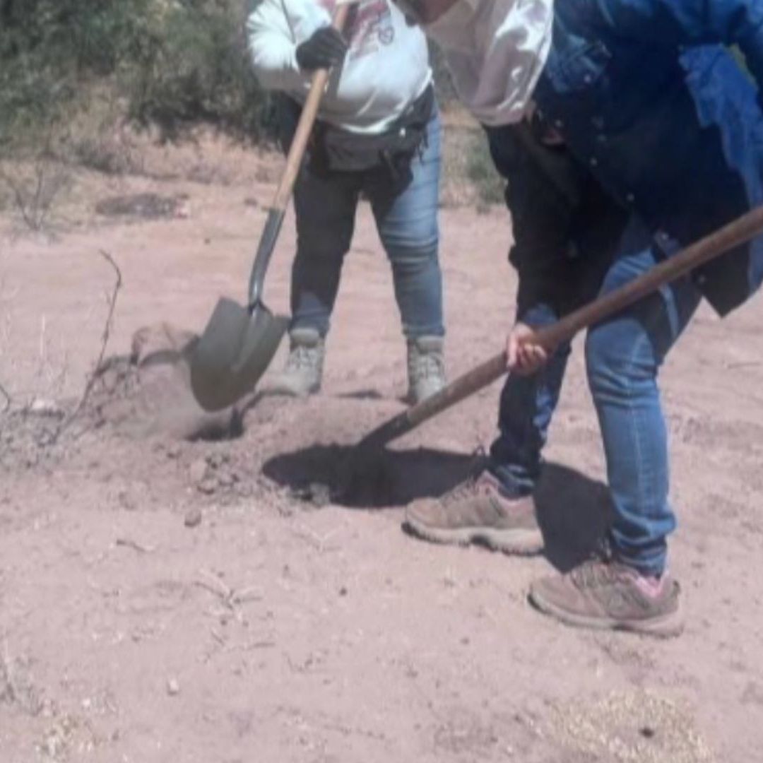 Colectivos de Búsqueda Hallan Restos Humanos de 18 Personas en "Brigada por Sonora"