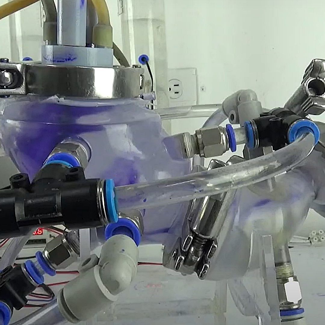 Científicos UNAM Crean Estómago Artificial que Imita Exitosamente Funciones del Órgano Humano