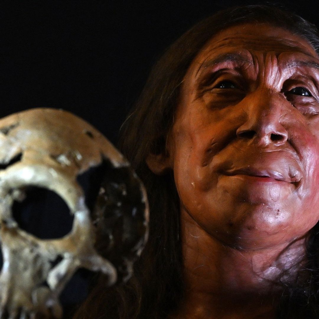 Los neadertales y los humanos tuvieron hijos solo por siete mil años