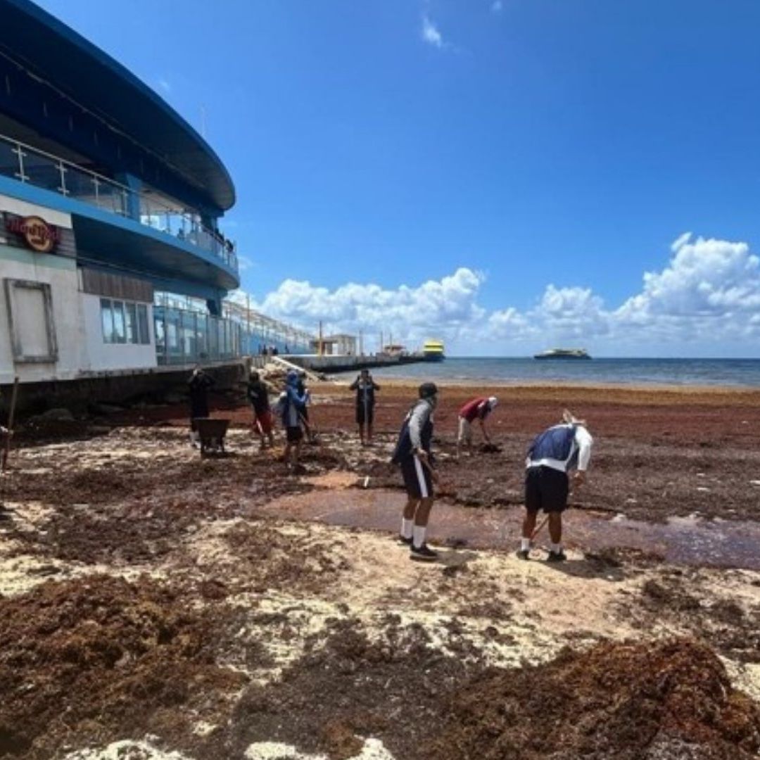 Sargazo en playas de Quintana Roo