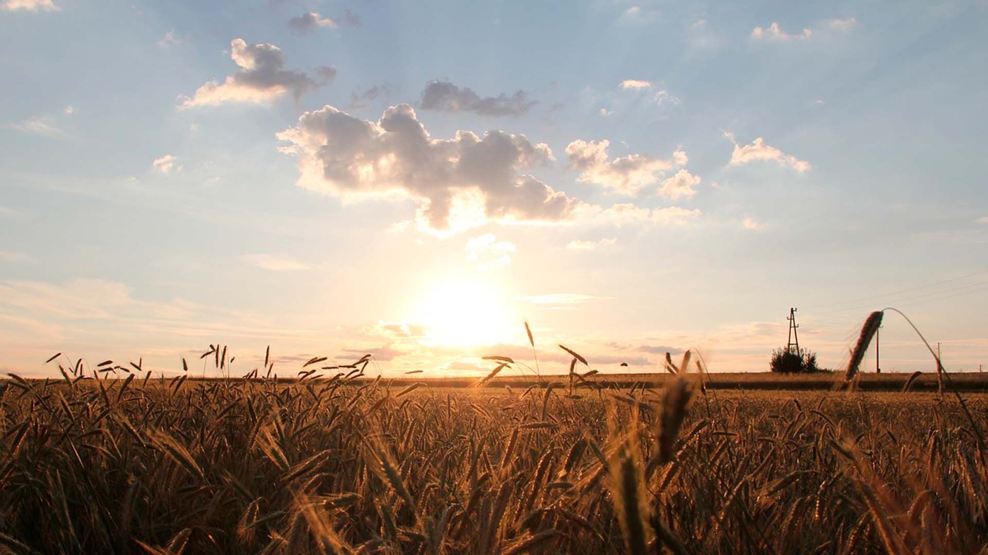 Canícula 2025 en Tamaulipas: ¿Cuándo Inicia la Temporada de Calor Más Intensa del Año?