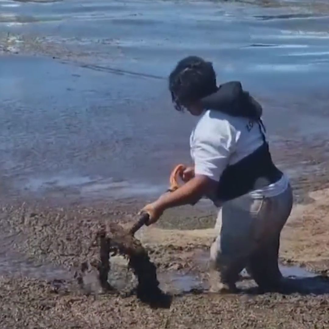 Las Mujeres y los Hombres Combatientes del Sargazo en Quintana Roo