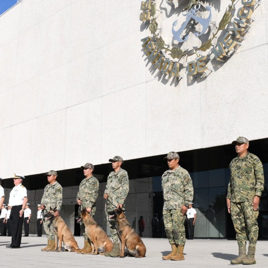 La Secretaría de Marina a través de la Armada de México informó hoy 3 de junio de 2024 que los perritos Eden, Enry y Eska fueron jubilados del servicio activo de la institución