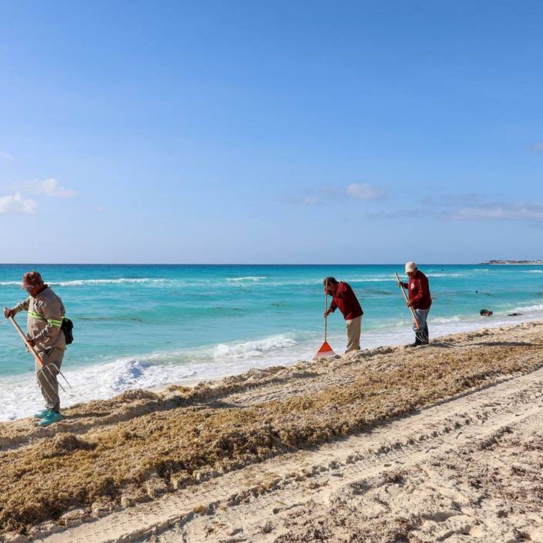 Playas de Cancún con sargazo