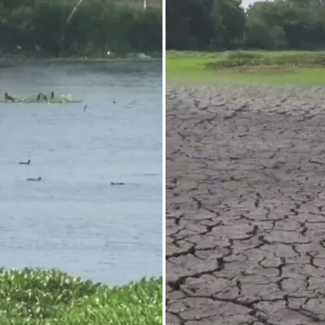 Laguna de Lagartos Se Seca, Tristeza y Preocupación Embarga a Estudiantes de Primaria