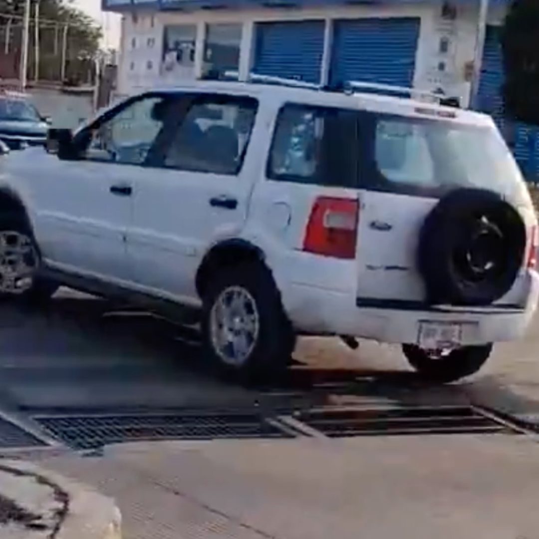 Perro Abandonado Persigue a su Familia en Blvd. Las Torres de Puebla Capital