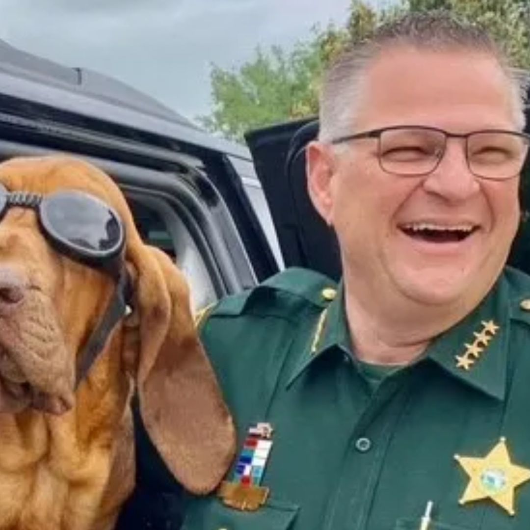 Alguacil de Florida Amenaza con Usar Perros y Fuerza Letal contra Manifestantes: "Los Mataremos"