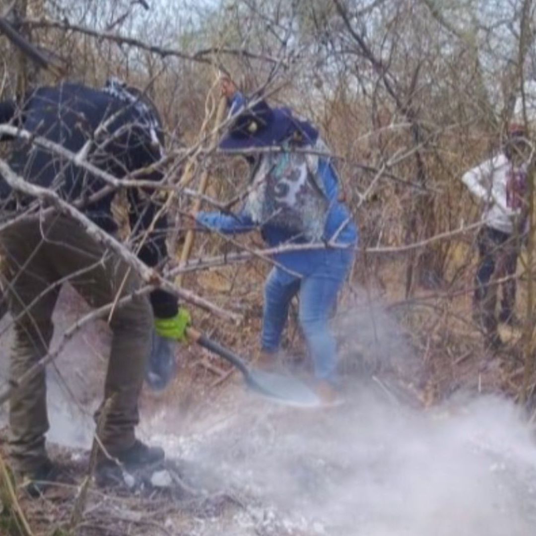 Colectivos Localizan Cuerpo en Fosa Clandestina en Cerro de la Virgen en Navojoa